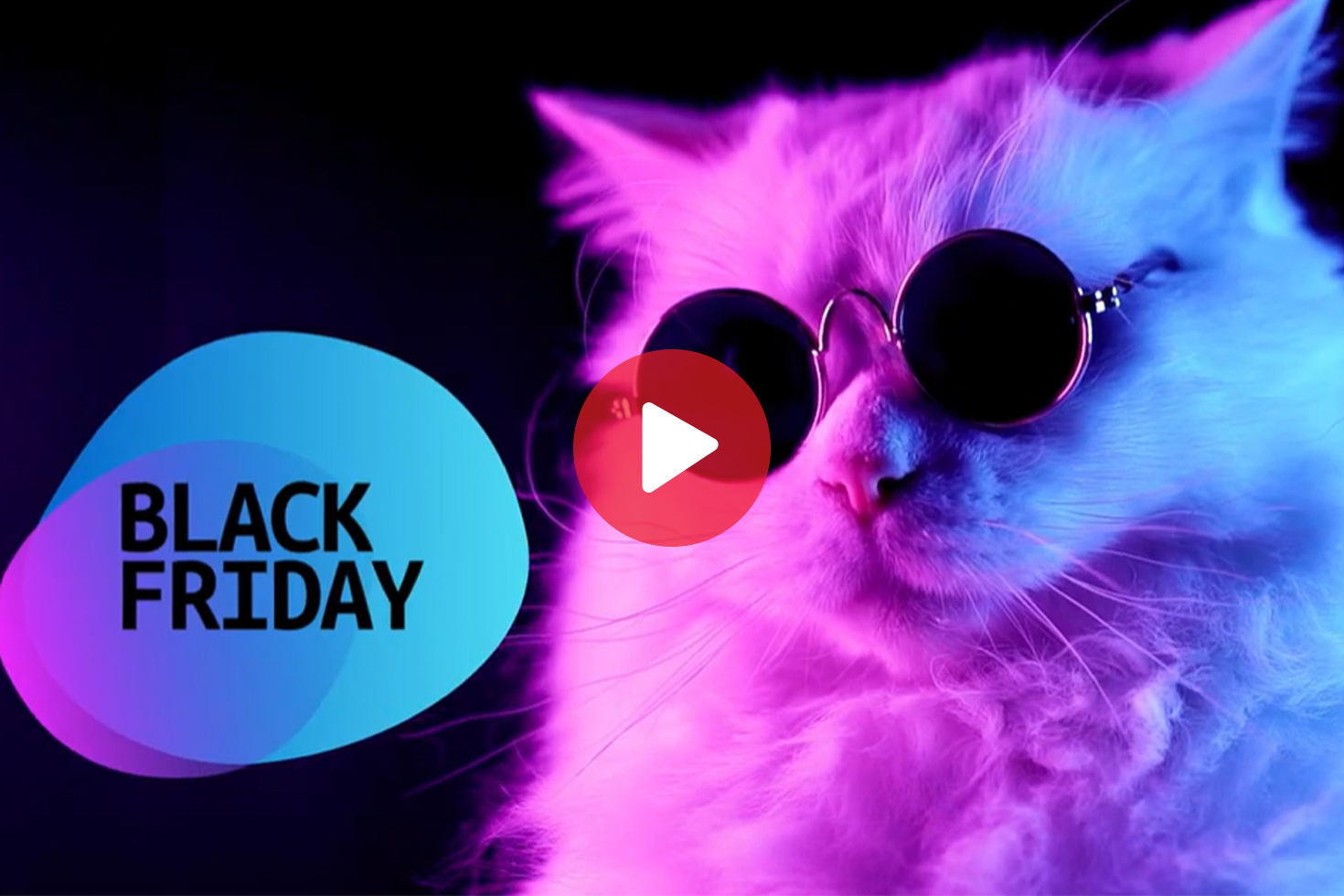 Homemarkt γάτος Black Friday